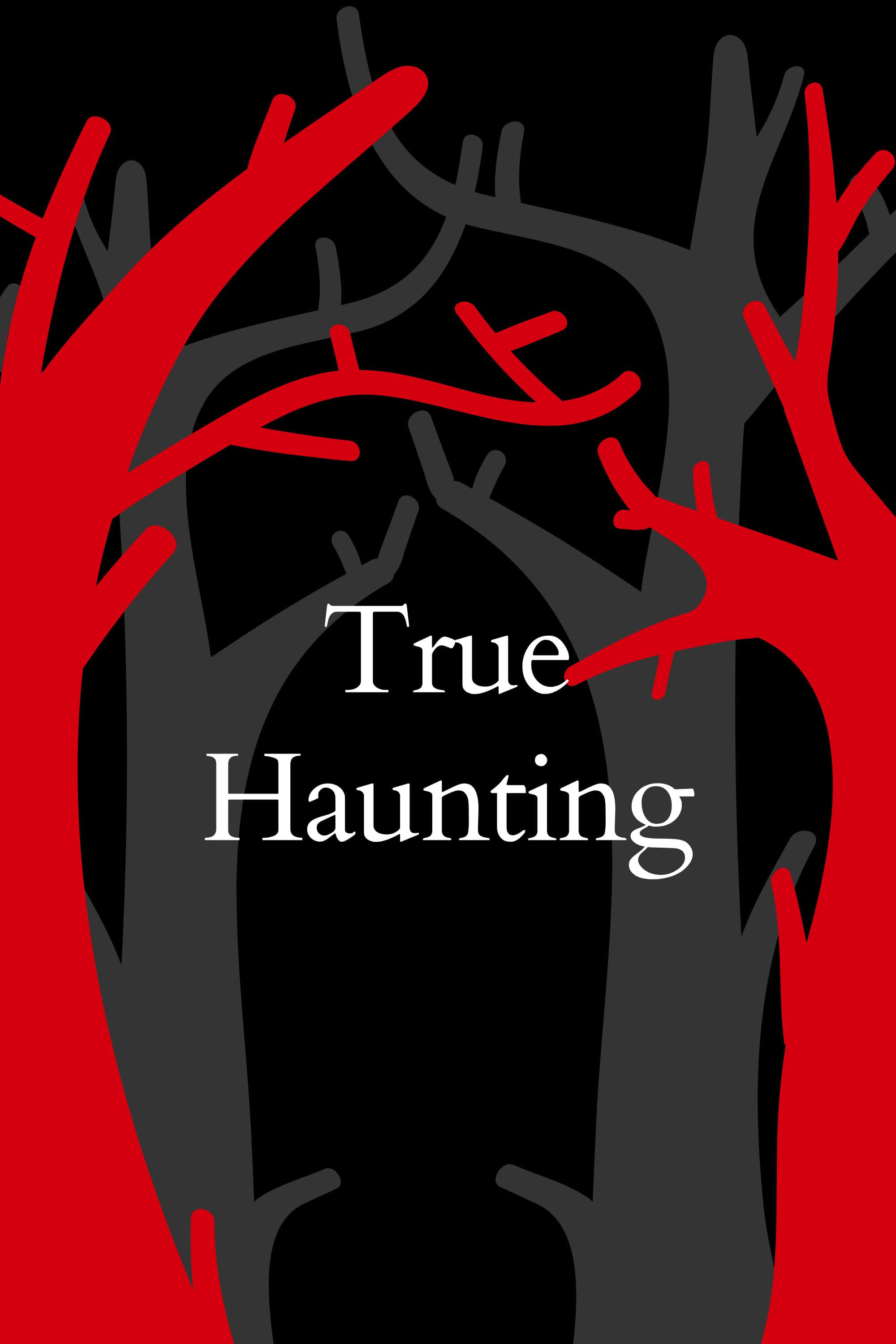 Постер True Haunting